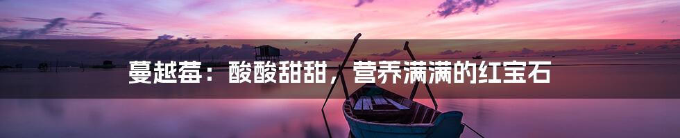 蔓越莓:酸酸甜甜,营养满满的红宝石