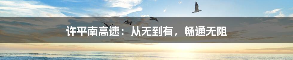 许平南高速:从无到有,畅通无阻