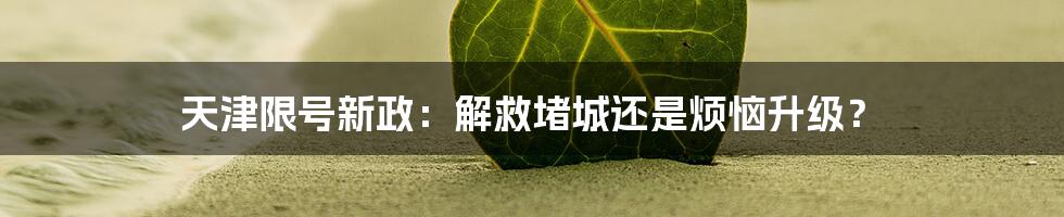 天津限号新政:解救堵城还是烦恼升级?