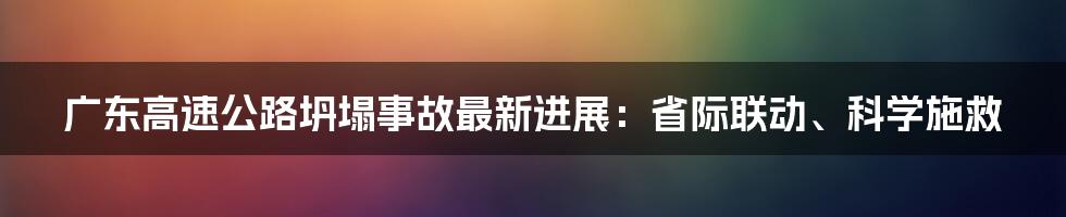 广东高速公路坍塌事故最新进展:省际联动、科学施救