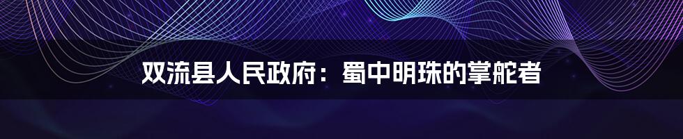 双流县人民政府：蜀中明珠的掌舵者