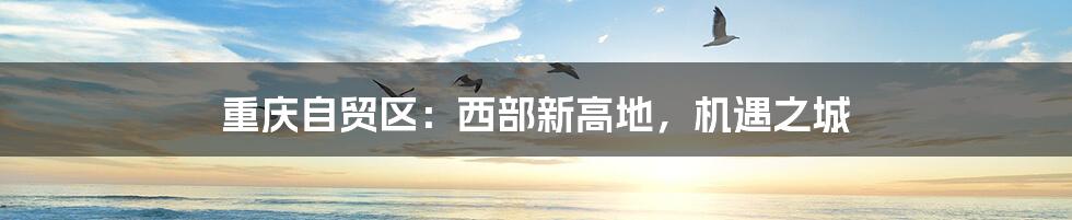 重庆自贸区:西部新高地,机遇之城
