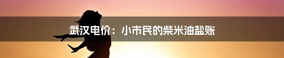 武汉电价：小市民的柴米油盐账