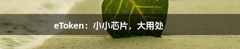 eToken:小小芯片,大用处