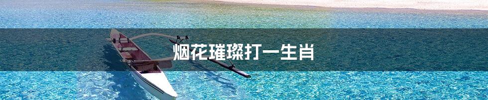烟花璀璨打一生肖