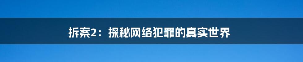 拆案2:探秘网络犯罪的真实世界