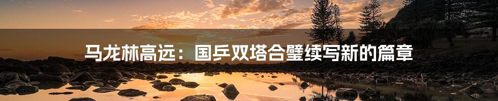 马龙林高远:国乒双塔合璧续写新的篇章