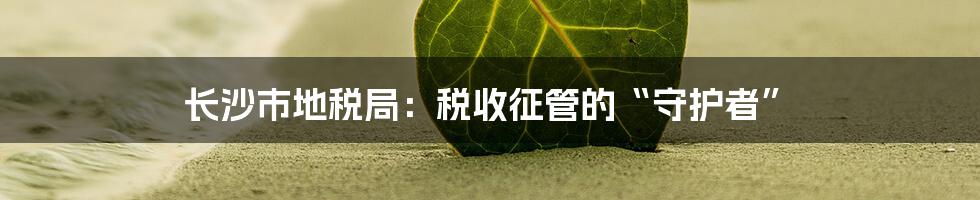 长沙市地税局：税收征管的“守护者”