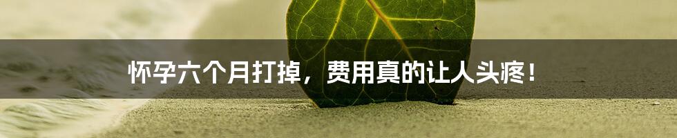 怀孕六个月打掉,费用真的让人头疼!
