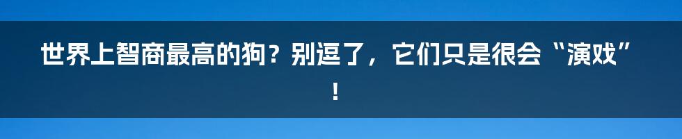世界上智商最高的狗?别逗了,它们只是很会“演戏”!