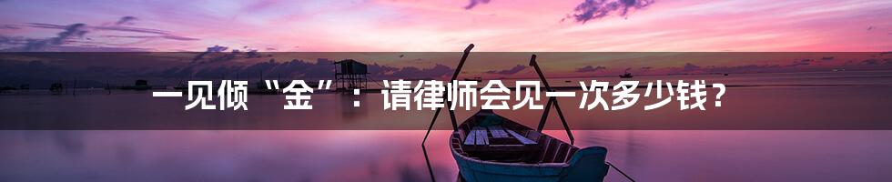 一见倾“金”:请律师会见一次多少钱?