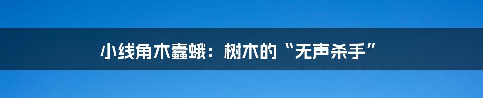 小线角木蠹蛾:树木的“无声杀手”