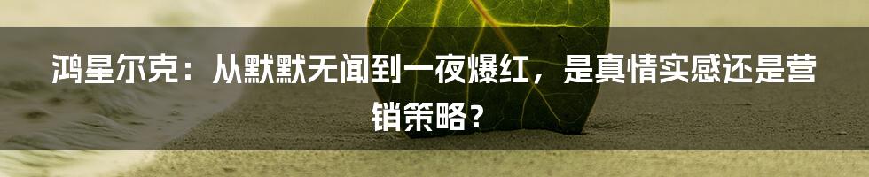 鸿星尔克:从默默无闻到一夜爆红,是真情实感还是营销策略?