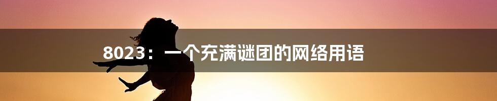 8023:一个充满谜团的网络用语