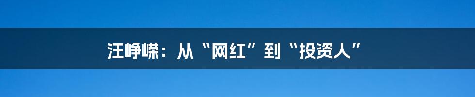 汪峥嵘:从“网红”到“投资人”