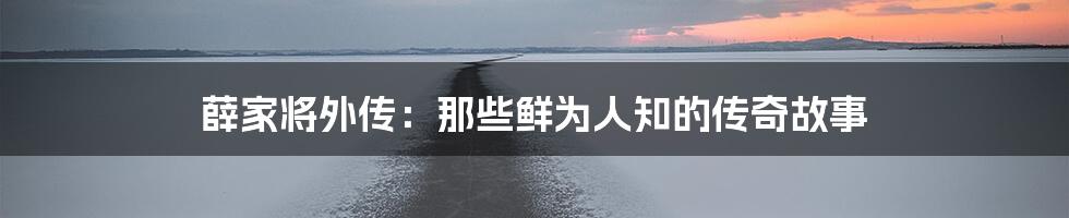 薛家将外传:那些鲜为人知的传奇故事