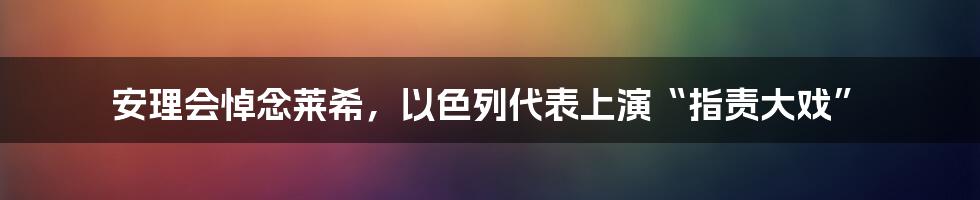 安理会悼念莱希,以色列代表上演“指责大戏”
