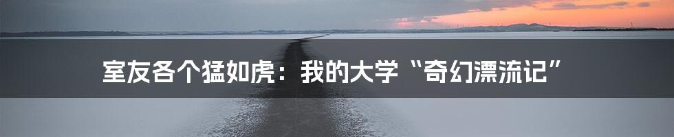 室友各个猛如虎:我的大学“奇幻漂流记”