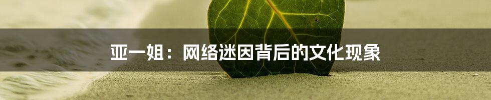 亚一姐:网络迷因背后的文化现象