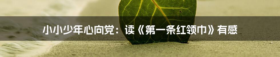 小小少年心向党:读《第一条红领巾》有感
