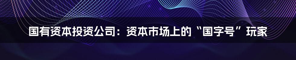 国有资本投资公司:资本市场上的“国字号”玩家