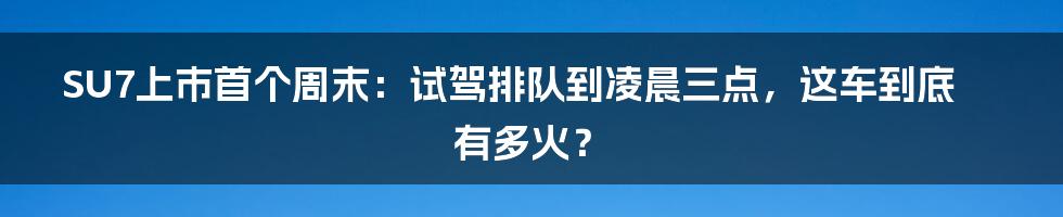 SU7上市首个周末：试驾排队到凌晨三点，这车到底有多火？