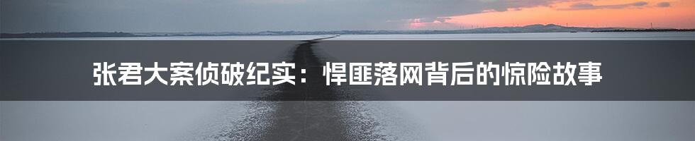张君大案侦破纪实:悍匪落网背后的惊险故事