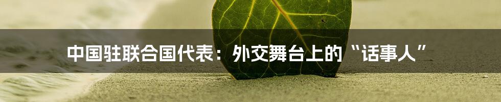 中国驻联合国代表:外交舞台上的“话事人”