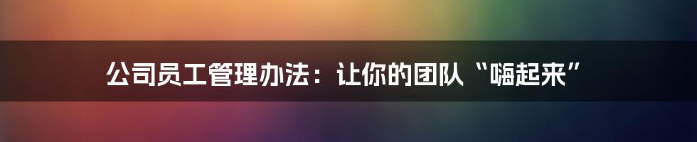 公司员工管理办法:让你的团队“嗨起来”