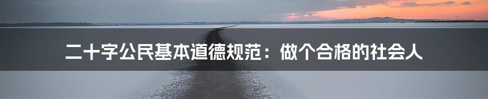 二十字公民基本道德规范：做个合格的社会人