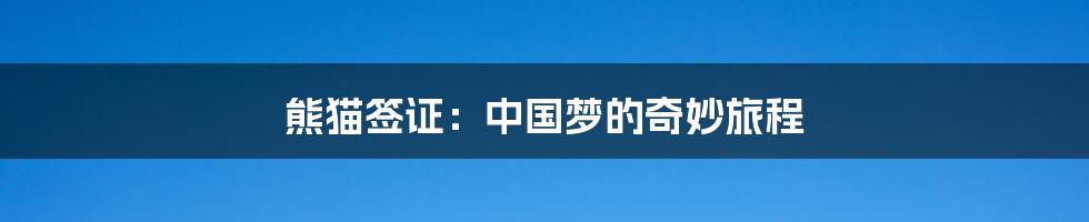熊猫签证:中国梦的奇妙旅程
