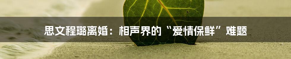 思文程璐离婚:相声界的“爱情保鲜”难题