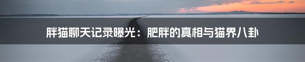 胖猫聊天记录曝光:肥胖的真相与猫界八卦