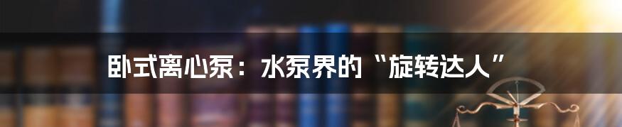 卧式离心泵:水泵界的“旋转达人”