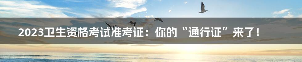 2023卫生资格考试准考证：你的“通行证”来了！