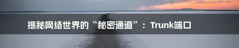 揭秘网络世界的“秘密通道”:Trunk端口