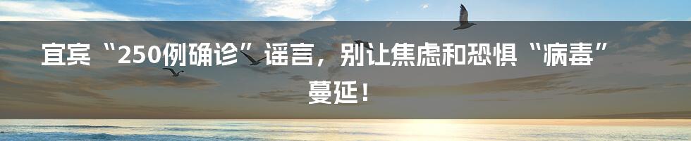 宜宾“250例确诊”谣言,别让焦虑和恐惧“病毒”蔓延!