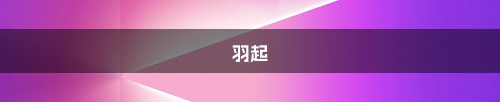 羽起