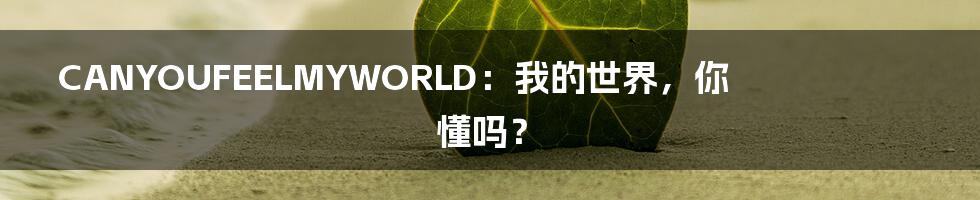 CANYOUFEELMYWORLD：我的世界，你懂吗？