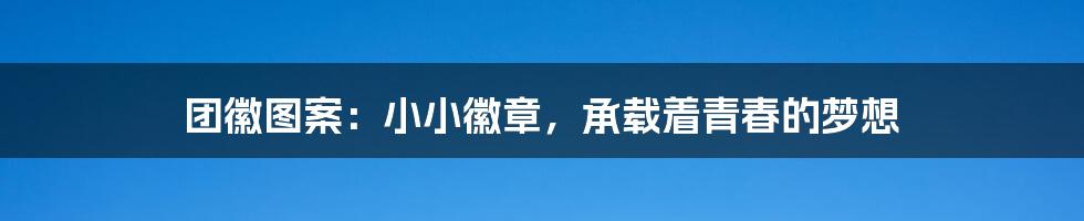 团徽图案:小小徽章,承载着青春的梦想