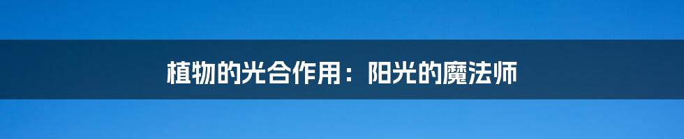 植物的光合作用:阳光的魔法师