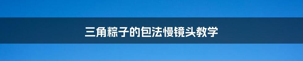 三角粽子的包法慢镜头教学