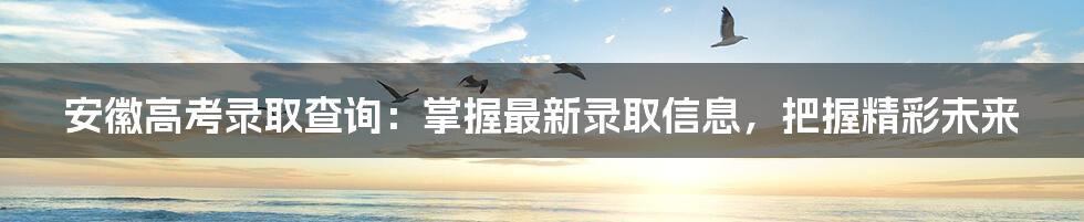 安徽高考录取查询：掌握最新录取信息，把握精彩未来