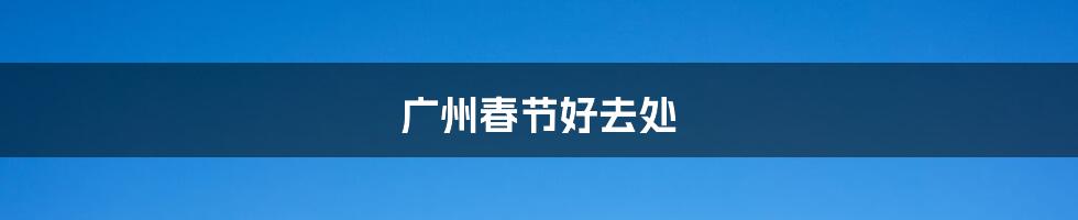 广州春节好去处