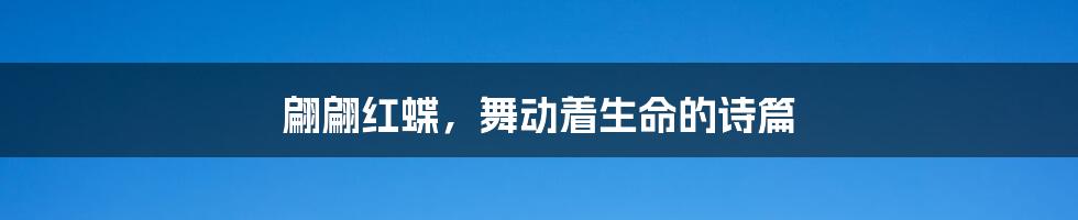 翩翩红蝶,舞动着生命的诗篇