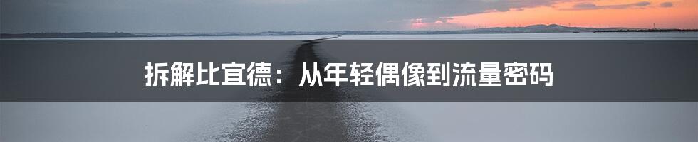 拆解比宜德:从年轻偶像到流量密码