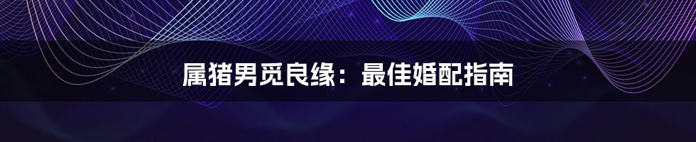 属猪男觅良缘:最佳婚配指南