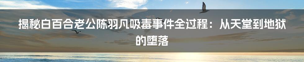 揭秘白百合老公陈羽凡吸毒事件全过程:从天堂到地狱的堕落