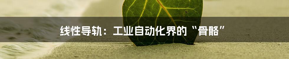 线性导轨:工业自动化界的“骨骼”