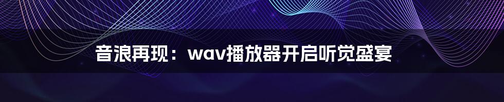 音浪再现:wav播放器开启听觉盛宴